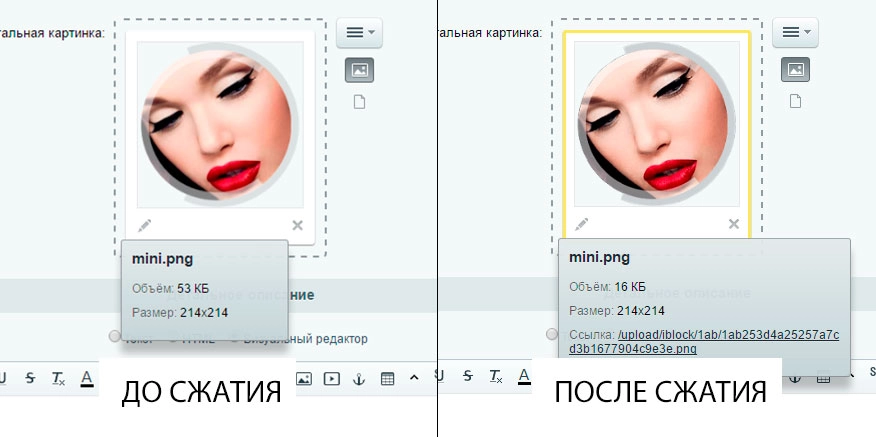 оптимизация изображений через tinypng на лету на битриксе оптимизация изображений через tinypng на лету для битрикс