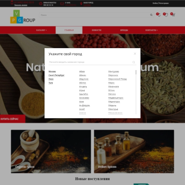 Шаблон pvgroup.food - интернет-магазин специй, продуктов на старте с конструктором дизайна №60161 для битрикс