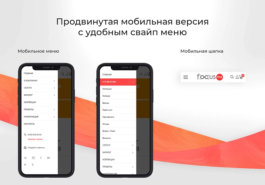 Focus: Корпоративный сайт + интернет-магазин