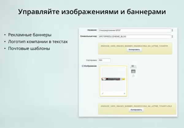 inraise: переменные. контакты, изображения, тексты, скрипты для битрикс