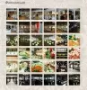 фотогалерея jquery для битрикс