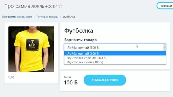 программа лояльности для сотрудников на битриксе программа лояльности для сотрудников для битрикс