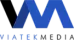 виатекмедиа