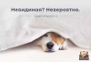 невидимая капча битрикс | google recaptcha v3 для битрикс